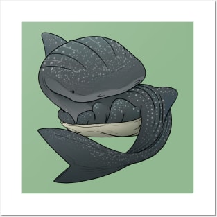 Whale Sharkpup Posters and Art